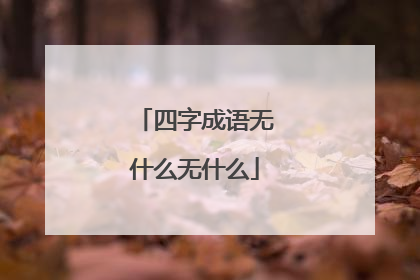 四字成语无什么无什么