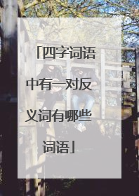 四字词语中有一对反义词有哪些词语