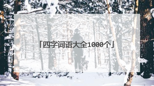 四字词语大全1000个