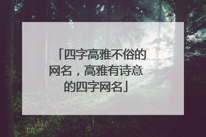 四字高雅不俗的网名，高雅有诗意的四字网名