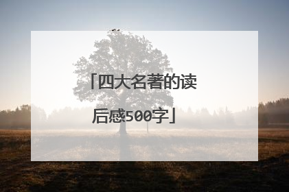 四大名著的读后感500字