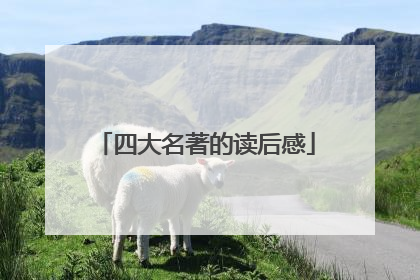 四大名著的读后感