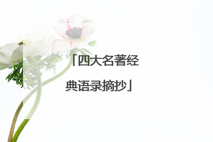 四大名著经典语录摘抄