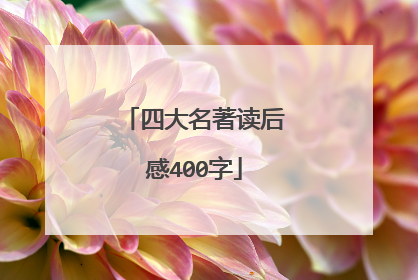 四大名著读后感400字