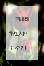 四川网络红人排行榜？