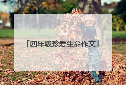 四年级珍爱生命作文