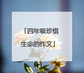 四年级珍惜生命的作文