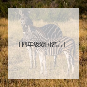 四年级爱国名言