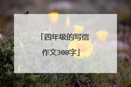 四年级的写信作文300字