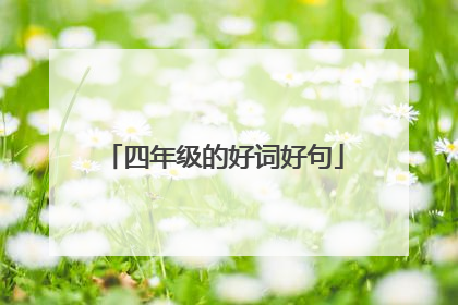 四年级的好词好句