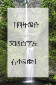 四年级作文四百字左右小动物