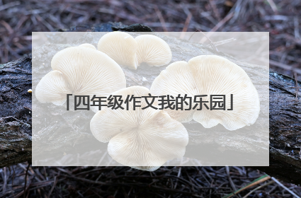 四年级作文我的乐园