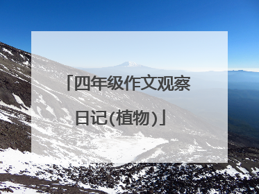 四年级作文观察日记(植物)