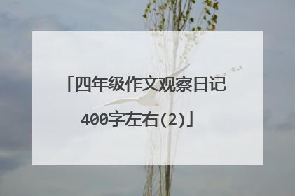 四年级作文观察日记400字左右(2)