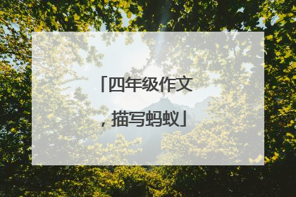 四年级作文，描写蚂蚁