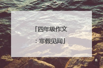 四年级作文：寒假见闻