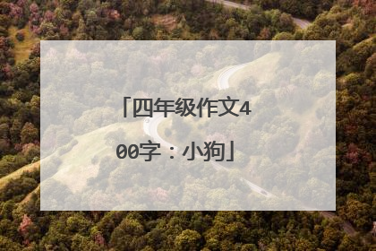 四年级作文400字:小狗
