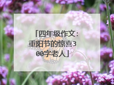 四年级作文:重阳节的惊喜300字老人