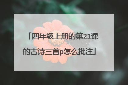 四年级上册的第21课的古诗三首p怎么批注