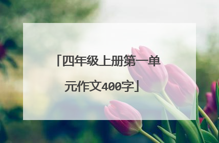四年级上册第一单元作文400字