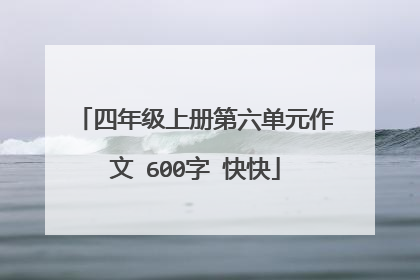 四年级上册第六单元作文 600字 快快