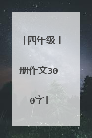 四年级上册作文300字