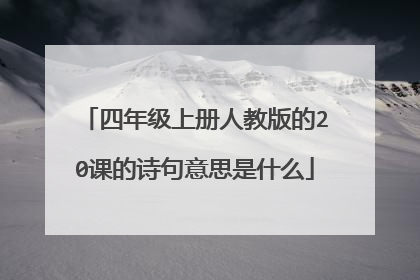 四年级上册人教版的20课的诗句意思是什么