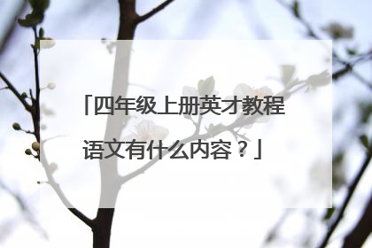四年级上册英才教程语文有什么内容?