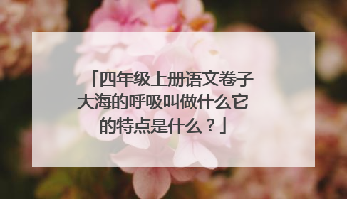 四年级上册语文卷子大海的呼吸叫做什么它的特点是什么？