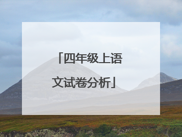 四年级上语文试卷分析