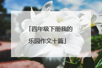四年级下册我的乐园作文十篇