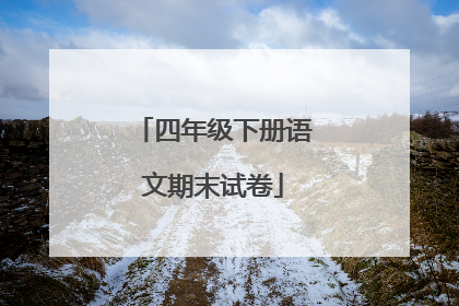 四年级下册语文期末试卷