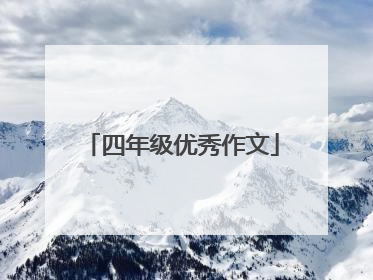 四年级优秀作文