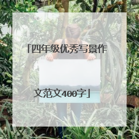 四年级优秀写景作文范文400字