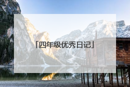 四年级优秀日记