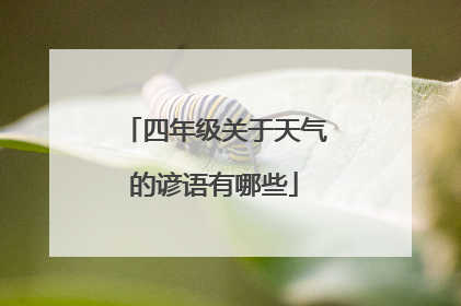 四年级关于天气的谚语有哪些