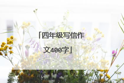 四年级写信作文400字