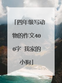 四年级写动物的作文400字 我家的小狗