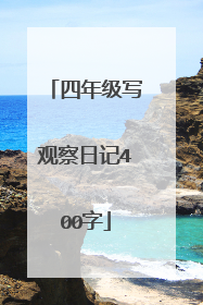 四年级写观察日记400字