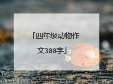 四年级动物作文300字