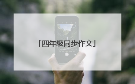 四年级同步作文