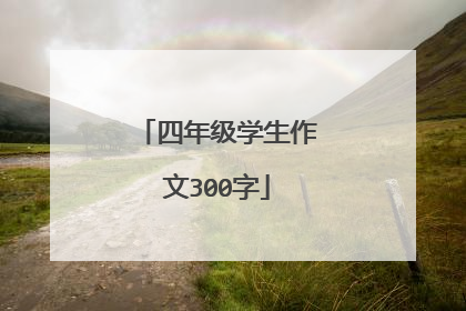 四年级学生作文300字