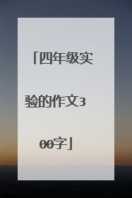四年级实验的作文300字