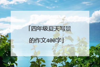 四年级夏天写景的作文400字