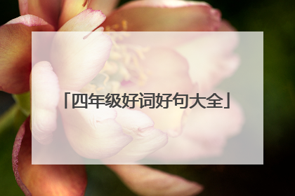四年级好词好句大全