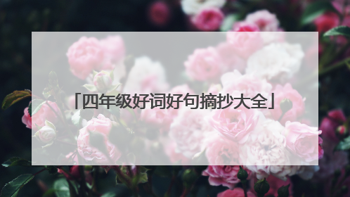 四年级好词好句摘抄大全