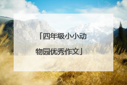 四年级小小动物园优秀作文