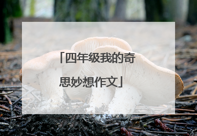 四年级我的奇思妙想作文