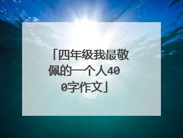 四年级我最敬佩的一个人400字作文