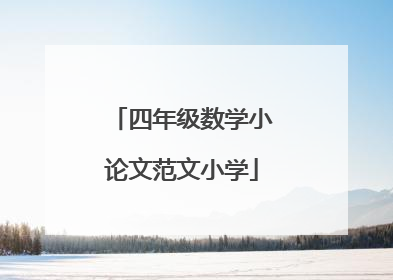 四年级数学小论文范文小学